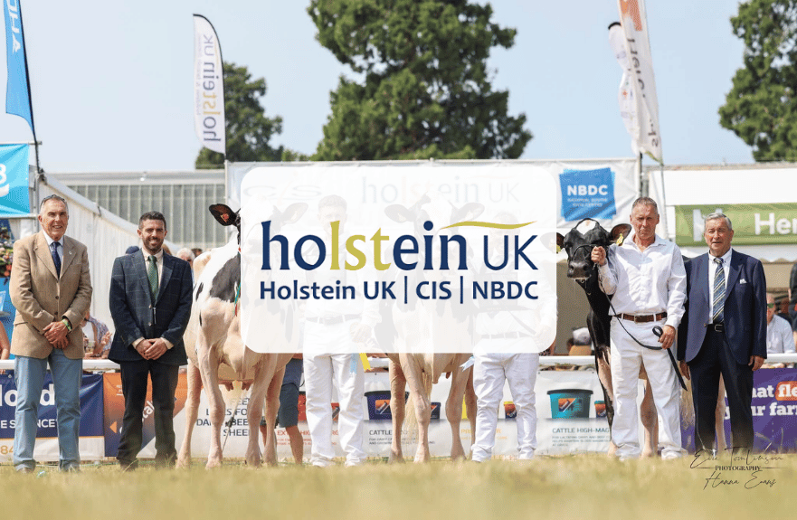 Holstein UK logo overlayed on an image of people and cows
