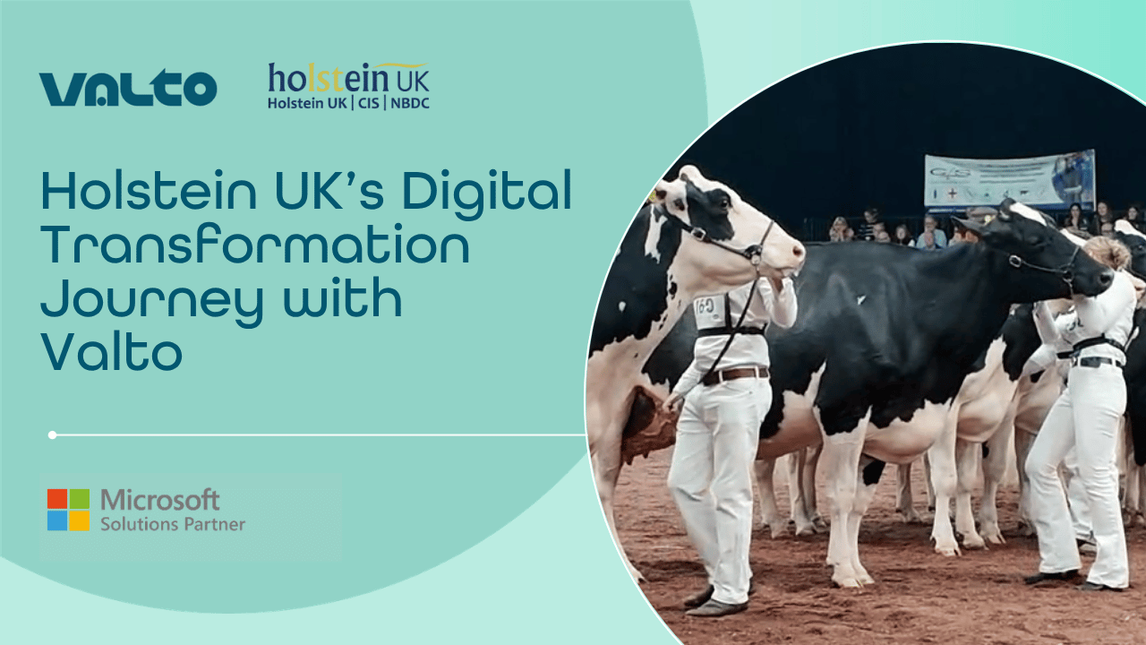 Thumbnail reading Holstein UK's Digital Transformation Journey with Valto